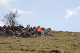 DSC2 (31).jpg